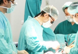 جراحة القلب والأوعية الدموية