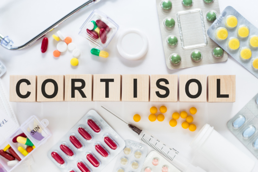 Kortizol Hormonu Nedir? Görevleri, Yüksekliği, Düşüklüğü ve Dengede Tutma Yöntemleri