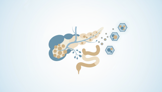 Pankreas Nedir? Pankreas Kanseri Belirtileri, Evreleri, Nedenleri ve Tedavisi