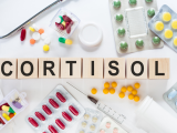 Kortizol Hormonu Nedir? Görevleri, Yüksekliği, Düşüklüğü ve Dengede Tutma Yöntemleri